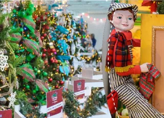 Christmas trees and Woodwards display