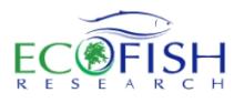 Ecofish research logo