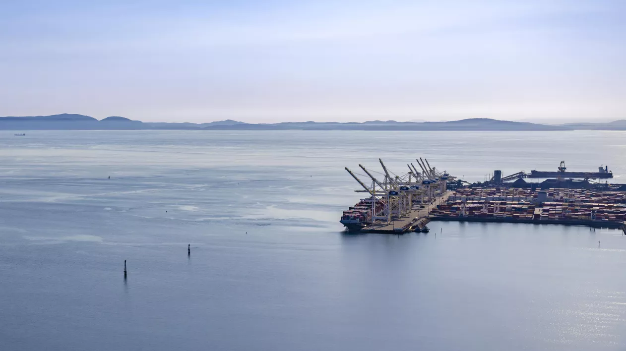 Aerial of Deltaport terminal